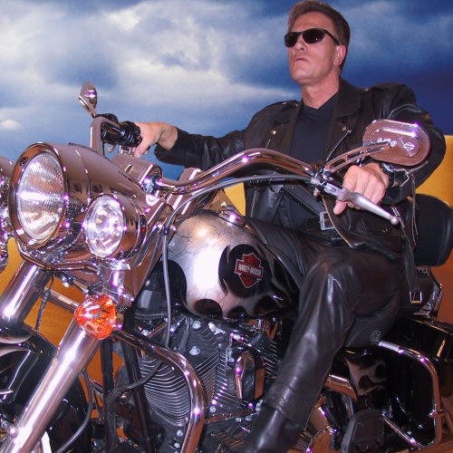 Arnold Schwarzenegger Lookalike / Imitator