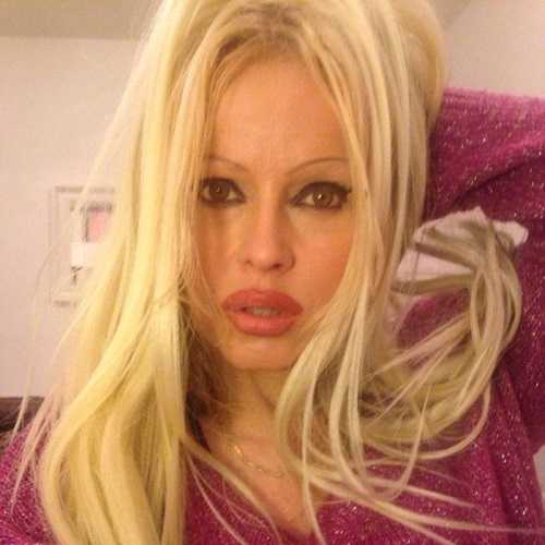Pamela Anderson Lookalike / Imitator